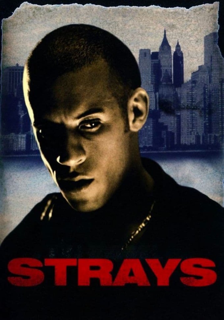 Strays streaming where to watch movie online?